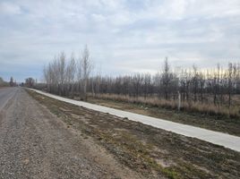  Terreno (Parcela) en venta en Rio Negro, General Roca, Rio Negro