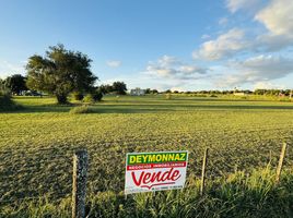  Terrain for sale in Entre Rios, Colon, Entre Rios