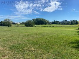  Land for sale in Buenos Aires, Pilar, Buenos Aires