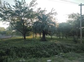  Land for sale in Canuelas, Buenos Aires, Canuelas