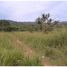  Land for sale in Coron, Mimaropa, Coron, Palawan, Mimaropa
