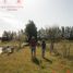  Land for sale in Concordia, Entre Rios, Concordia