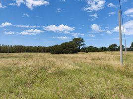  Land for sale in Tres Arroyos, Buenos Aires, Tres Arroyos