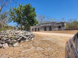  Terreno (Parcela) en venta en Seye, Yucatán, Seye, Yucatán