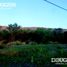  Land for sale in Junin, San Luis, Junin