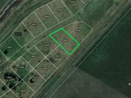  Land for sale in Brandsen, Buenos Aires, Brandsen