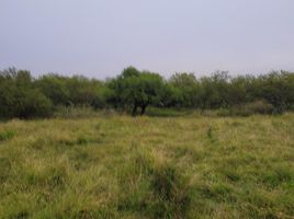  Land for sale in Colon, Entre Rios, Colon