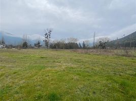  Terreno (Parcela) en venta en Curico, Curicó, Curico