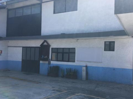 Villa 4 chambre à vendre à Coyoacan, Mexico City, Coyoacan