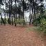  Land for sale in Pinamar, Buenos Aires, Pinamar