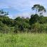  Land for sale in Pereira, Risaralda, Pereira