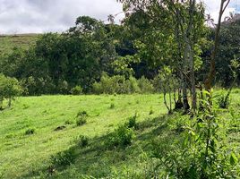  Land for sale in Pereira, Risaralda, Pereira