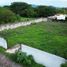  Land for sale in Cuauhtemoc, Colima, Cuauhtemoc