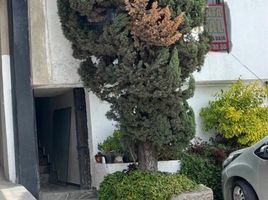 54 m² Office for rent in Toluca, Mexico, Toluca