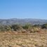  Land for sale in Santa Maria, Cordoba, Santa Maria