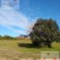  Land for sale in Concordia, Entre Rios, Concordia