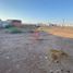  Land for sale in Cajeme, Sonora, Cajeme, Sonora