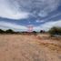  Land for sale in Cajeme, Sonora, Cajeme, Sonora