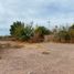  Land for sale in Bacum, Sonora, Bacum