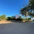  Land for sale in Bacum, Sonora, Bacum, Sonora