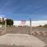  Land for sale in Cajeme, Sonora, Cajeme