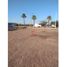 Land for sale in Cajeme, Sonora, Cajeme