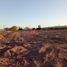  Land for sale in Cajeme, Sonora, Cajeme