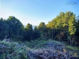  Terrain for sale in Frutillar, Llanquihue, Frutillar