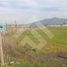  Land for sale in Calera De Tango, Maipo, Calera De Tango