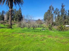  Land for sale in Santiago, Melipilla, Melipilla, Santiago