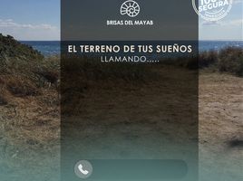 Terrain à vendre à Dzidzantun, Yucatan, Dzidzantun