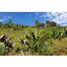  Land for sale in Huasca De Ocampo, Hidalgo, Huasca De Ocampo