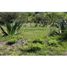  Land for sale in Huasca De Ocampo, Hidalgo, Huasca De Ocampo