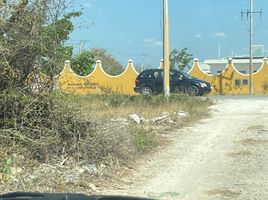  Grundstück zu verkaufen in Conkal, Yucatan, Conkal