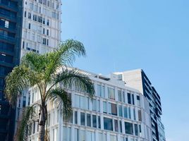 255 제곱미터입니다 Office for rent in 산타 이사벨 콜라, 푸에블라, 산타 이사벨 콜라