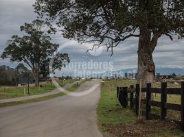  Terreno (Parcela) en venta en Puerto Varas, Llanquihue, Puerto Varas