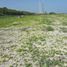  Land for sale in Carmen, Campeche, Carmen