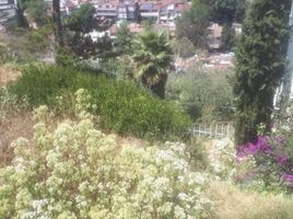  Grundstück zu verkaufen in Naucalpan De Juarez, Mexico, Naucalpan De Juarez