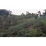  Land for sale in Guarne, Antioquia, Guarne