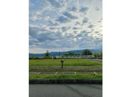  Terreno (Parcela) en venta en Risaralda, Caldas, Risaralda