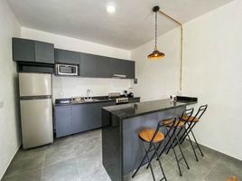 2 Schlafzimmer Appartement zu vermieten in Allende, Guanajuato, Allende