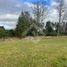  Land for sale in Entre Lagos, Osorno, Entre Lagos