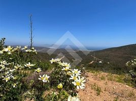  Grundstück zu verkaufen in Petorca, Valparaiso, La Ligua