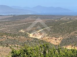  Terrain for sale in La Ligua, Petorca, La Ligua