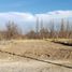  Land for sale in Confluencia, Neuquen, Confluencia