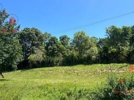  Land for sale in Concordia, Entre Rios, Concordia