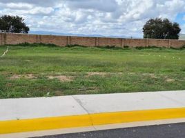  Terreno (Parcela) en alquiler en Colon, Querétaro, Colon
