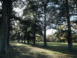  Grundstück zu verkaufen in Pilar, Buenos Aires, Pilar, Buenos Aires, Argentinien
