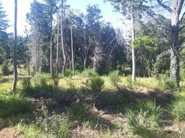  Terreno (Parcela) en venta en Rio Negro, Bariloche, Rio Negro