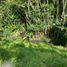  Land for sale in Quindio, Armenia, Quindio